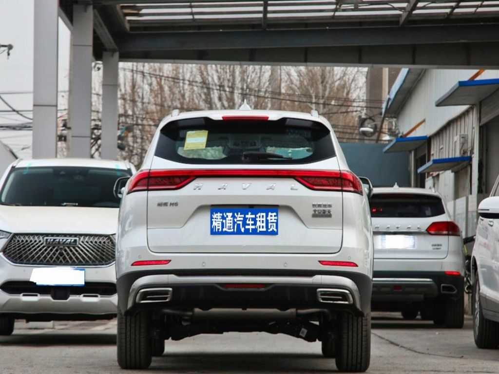 哈弗H6 2021款 國潮版 1.5T 自動冠軍版